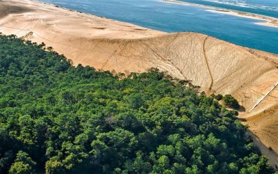 Dune du pilat, géant mouvant et trésor à préserver