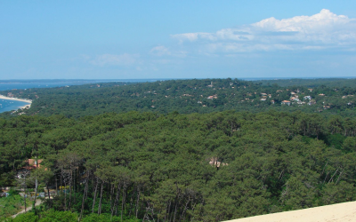 Dune du pilat, sommet sableux vivant entre océan et forêt