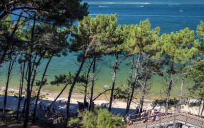 Gravir la dune du Pilat, géant mouvant aux panoramas changeants