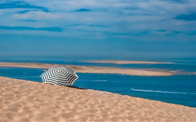 Banc d’arguin, joyau mouvant du bassin d’arcachon