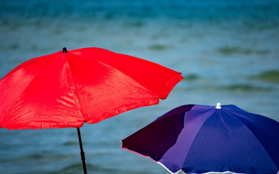 Banc d’Arguin, trésor mouvant et fragile d’Arcachon