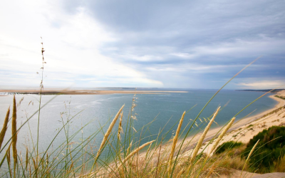 Banc d’arguin, sable vivant attirant toujours plus, écosystème sous tension