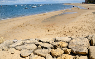 Des plages contrastées pour un voyage sensoriel au bassin d’arcachon