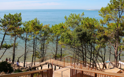 Dune du pilat, géante vivante: guide complet pour l’explorer facilement