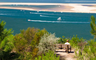 Banc d’arguin fragile trésor marin entre dunes, oiseaux et hommes