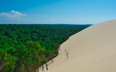 Dune du pilat, géant mouvant aux mille secrets fascinants révélés