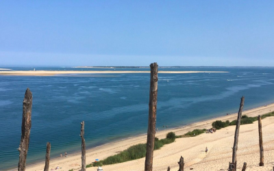 Banc d’arguin, joyau mouvant entre dunes, marées et oiseaux