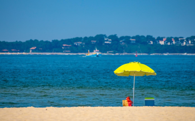 Banc d’arguin, fragile joyau mouvant entre érosion et passion humaine