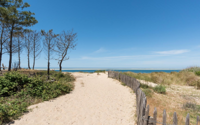 Banc d’arguin réserve mouvante où sable marées et vies dialoguent