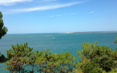 Banc d’Arguin, désert mouvant et refuge vital pour oiseaux migrateurs