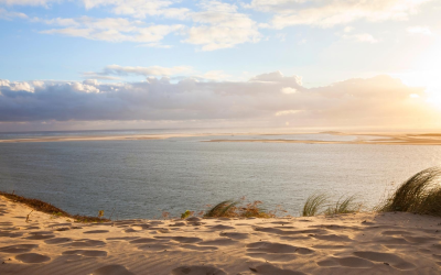 Banc d’arguin, fragile joyau sableux du bassin d’arcachon