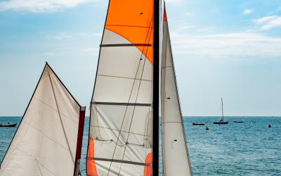 Banc d’arguin, spectacle vivant façonné par marées et vents
